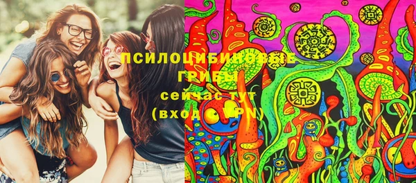 героин Алексин