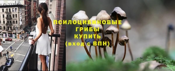 не бодяженный Алзамай