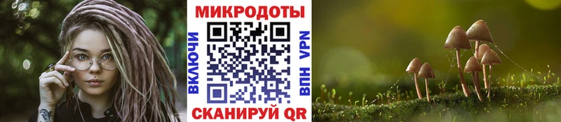 кракен ССЫЛКА  Ардон  Псилоцибиновые грибы MAGIC MUSHROOMS 